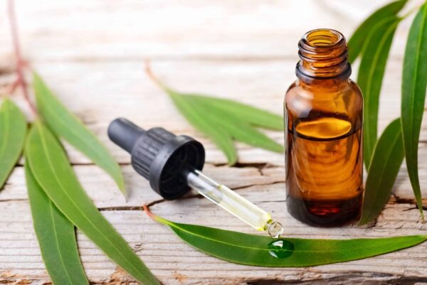 ACEITE ESENCIAL DE EUCALIPTO