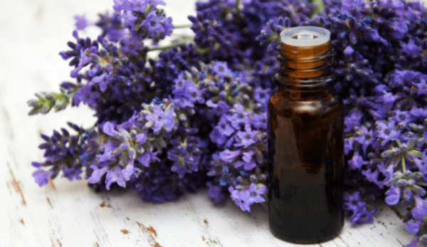 ACEITE ESENCIAL DE LAVANDA