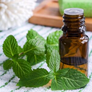 ACEITE ESENCIAL DE OREGANO