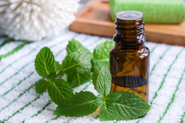 ACEITE ESENCIAL DE MENTA
