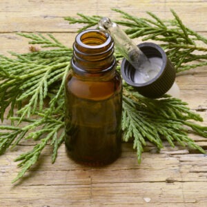 ACEITE ESENCIAL DE CIPRES