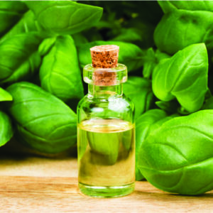 ACEITE ESENCIAL DE ALBAHACA