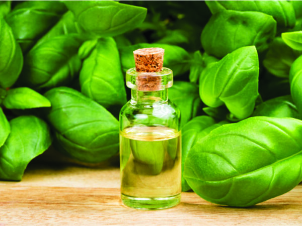 ACEITE ESENCIAL DE ALBAHACA