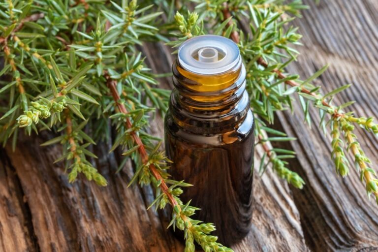 ACEITE ESENCIAL DE ENEBRO