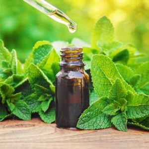 ACEITE ESENCIAL DE MUÑA