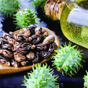 ACEITE DE RICINO