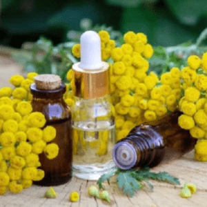 ACEITE ESENCIAL DE HELICRISO